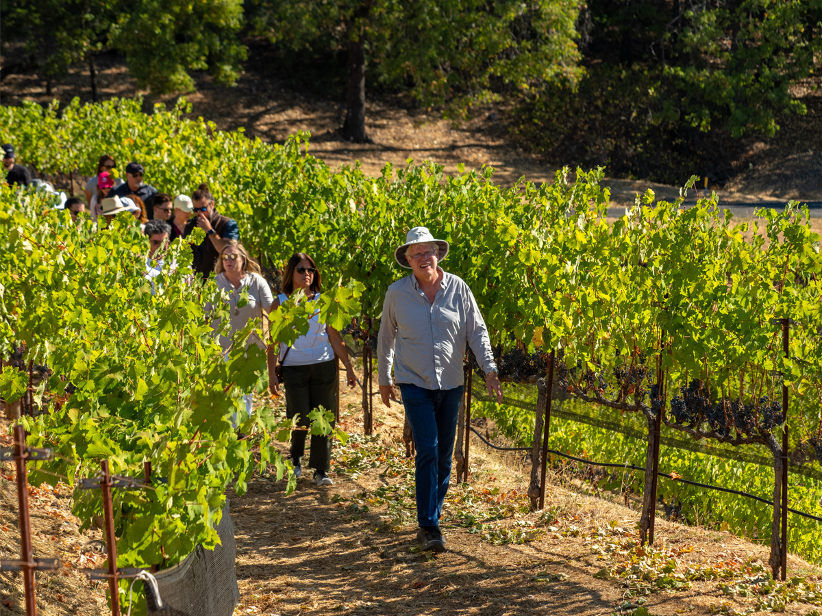 Let the Sunshine In: The Roles of Terroir and Farming Strategy